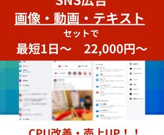 インスタ広告低CPA！画像・動画・広告文作成します イメージ1