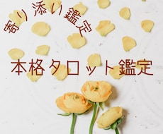 本格タロットであなたのお悩み鑑定します イメージ1