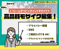 ハイクオリティなモザイク編集をいたします イメージ1