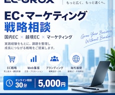 EC・マーケティングの課題を整理し戦略を提案します イメージ1