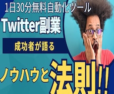 初心者向Twitter(X)副業教えます イメージ1