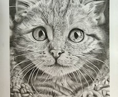 鉛筆画でペットのリアル似顔絵を手描きで作成致します
