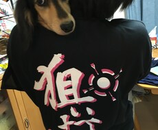 子どもの問題行動の理由を一緒に探しましょう。 イメージ1
