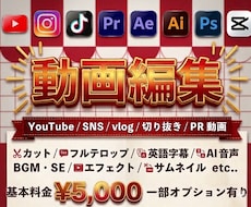 丸投げOK！YouTube等の動画編集します イメージ1