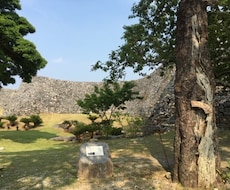 個人旅行の計画の煩わしさを解消いたします イメージ1