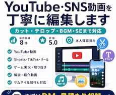 YouTube・SNS動画を丁寧に編集します イメージ1