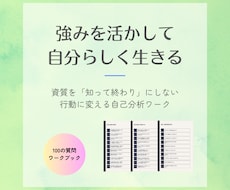 ストレングスファインダー＊本来の力を引き出します イメージ1