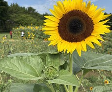 友達感覚でどんな話も聞くよます イメージ1