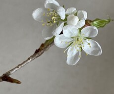 あなたなの身体の心配事についてご相談いただけます イメージ1
