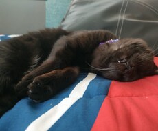おはなし、ききます イメージ1