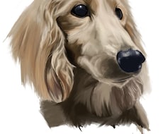 リアルなペットイラスト描きます イメージ1