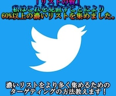 濃いリストを集めるターゲティングの仕方教えます リストが多くても濃いリストが全然集まらないあなたへ
