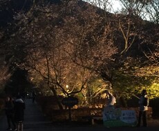 あなたの悩み、不安解消します イメージ1