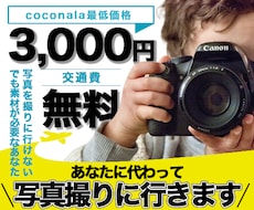 あなたに代わり、写真を撮りに行きます イメージ1