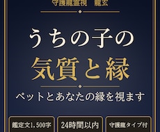 うちの子の気質とあなたとの縁を守護龍霊視で視ます イメージ1