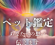 ペットの気持ち【神託霊視】あの子の想いを伝えます 虹の橋にいるあの子の想い。魂の結び目を解き、真実を届けます