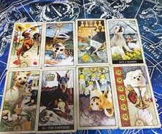 どんな些細な相談でも丁寧にお答えします イメージ1