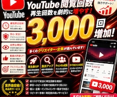 Youtube再生回数！3000増やします イメージ1