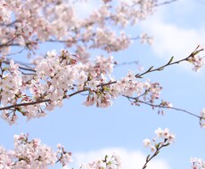 雑談、相談なんでもお受けします イメージ1