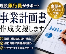 現役銀行員が融資を通す為の事業計画書を作成します イメージ1