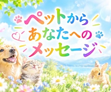 ペットからあなたへ★メッセージお伝えします 霊視カード★大切な家族からメッセージがあります✨
