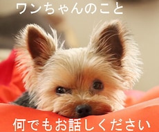 愛犬について話したい♡ちょこっとでもお話聞きます イメージ1