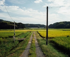 田舎からの上京したての人間関係をサポートします イメージ1