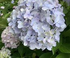 三児のママです！悩み・相談にのります イメージ1