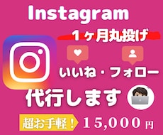 セールは今だけ！インスタグラムの運用代行します イメージ1
