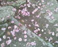 未来へ進むための鍵が必要な方へ イメージ1