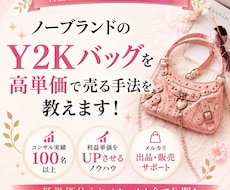 ノーブランドy2kバッグを高く売る物販術を教えます 【初心者必見】リスクを取らない物販術を伝授します！！