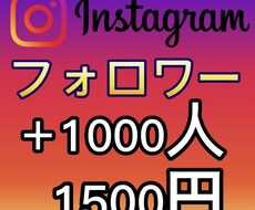 インスタフォロワー1000人以上増加します 高品質/保証付き/即日対応/海外フォロワー増加
