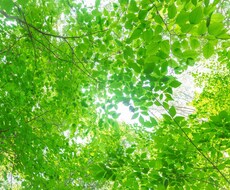 チャットで「悩み」や「辛い」ことを聞きますます イメージ1