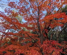 介護のお悩みお聞きします ☆介護されているご家族の方のお悩みを解決☆