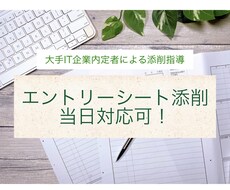 就活生対象:「伝わるES」に添削します イメージ1