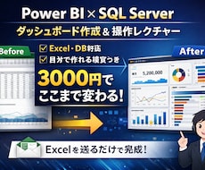 ExcelやSQLServerデータ可視化します イメージ1