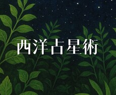 あなたの魂が今世やりたい方向をお伝えします イメージ1