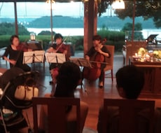プロ演奏家が出張生演奏いたします 耳じゃなくて、胸に届く感動の音楽を！　「音楽の宅配便」