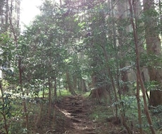 あなたのお悩みに、寄り添わせていただきます あなたに絡みついたものを解いていきます