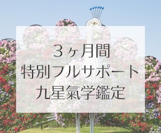 3か月じっくり寄り添いサポート鑑定します 3か月かけて九星氣学を取り入れ、変化や行動をじっくりサポート