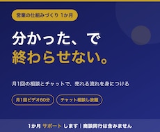営業の仕組みづくりを1か月サポートします イメージ1
