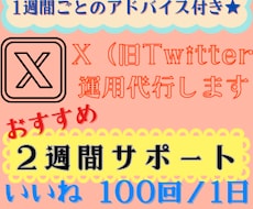 アドバイス付き★いいね【2週間】x運用代行します 代行で時短＆効果的な『いいね』でフォロワー増につなげます♪