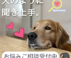 あなたのココロを整理します 誰かに話したい…その誰かになります。