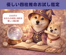 やさしい四柱推命お試し鑑定します イメージ1