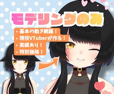 2名様限定！VTuberモデリング担当いたします 【ココナラ復活記念！限定2名様】基本のLive2Dモデリング