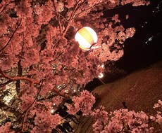 誰でも気楽にはなせます イメージ1