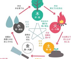 性格・適職・恋愛傾向など占います イメージ1