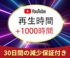 YouTube再生時間＋1000時間増やします イメージ1