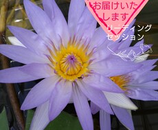 あなたの心の声をお聴きします イメージ1