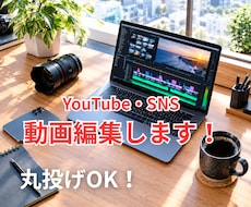 YouTubeやSNSの動画編集を代行します イメージ1